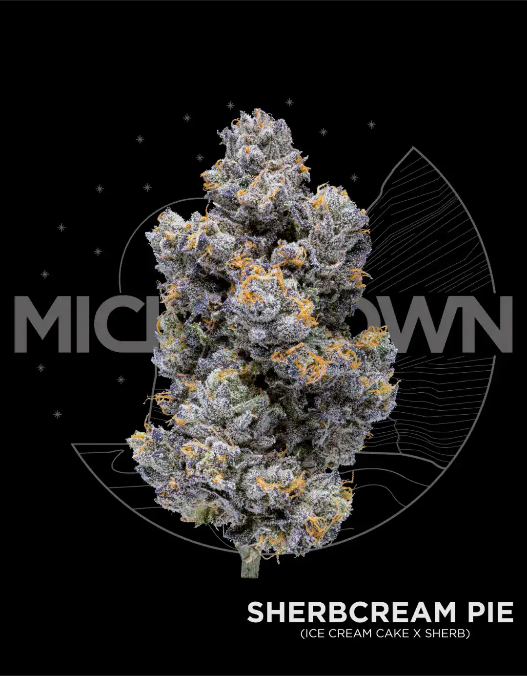 Sherbcream Pie (Sherblato)