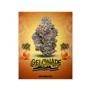 1982811581823711171 2048.jpeg